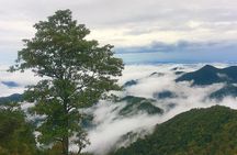 Explore Bach Ma National Park From Hue 