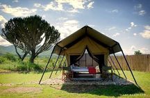 Experience A Taste of Local Life in Luxury Safari