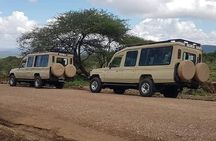 Experience A Taste of Local Life in Luxury Safari
