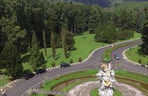 Bedugul Tour