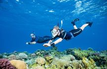 Private Try Free Diving 