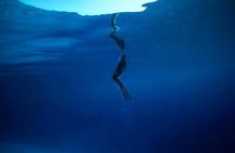 Private Try Free Diving 