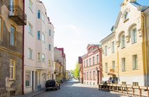 Old and Nowaday Tallinn Driving and Little Walking Private Tour