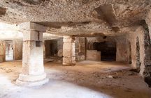 Extra virgin Savoy Tour and olive oil tasting - FASANO