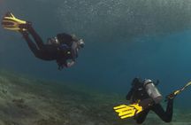 4.5 Hour Snorkeling, Diving With Private Beach Access & Lunch