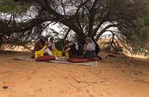 Premium Desert Safari with Lunch under the Ghaf Tree - Private