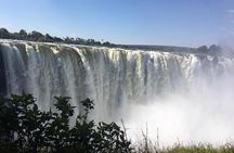 Safari Game Drive in Zambezi National Park 