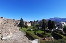 Best of Pompeii - 2 hour Private Tour with Alex