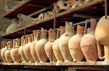 Best of Pompeii - 2 hour Private Tour with Alex