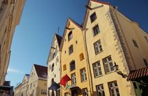 Tallinn Highlights and Marzipan Painting Masterclass