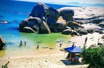 African Penguins (Boulders Beach) Half Day tour from Cape Town 