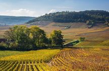 Alsace Local Villages Small Group Guided Tour from Strasbourg