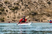 Darwin Experience - kayaks & adventure