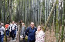 Kyoto Japanese Gardens Private Tour with Licensed Guide