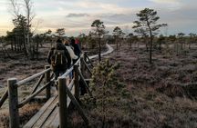 Sunset at Kemeri National Park 