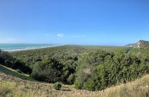 Maremma natural park e-bike tour