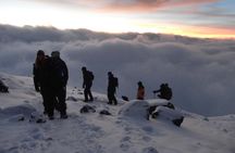 Mount Kilimanjaro Trek 7-Days: Lemosho Route 