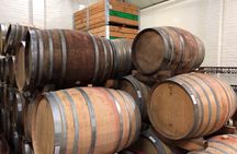 Full Day Constantia Wine Valley Tour in Luxury Electric Vehicle