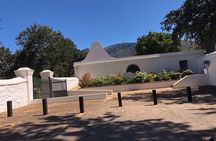Full Day Constantia Wine Valley Tour in Luxury Electric Vehicle