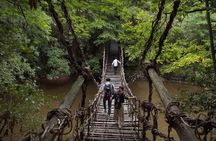 Takamatsu Half-Day Private Tour with Government-Licensed Guide
