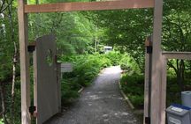 Premium Narrated Bus Tour of Bar Harbor and Acadia National Park (3.5 Hours) 