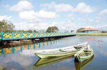 Live the best 10 attractions in Alter do Chão
