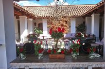 Casas del Bosque Vineyard and Viñamar Vineyard Valle de Casablanca