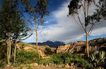 Private Palca Canyon Tour from La Paz with optional stop at Valle de las Animas 