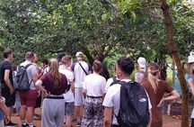 Special for Holland America Line Guests to Zanzibar