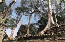 Angkor Wat Bayon and Ta Prohm with a short walk to ancient city 