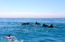 Snorkeling at Mnemba Atoll