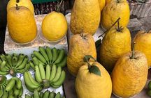 Private cooking class and rural market visit with chef