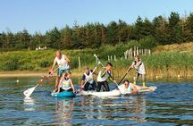 SUP - Stand Up Paddle - Kitesurfing - Wingfoil & Kitefoil courses