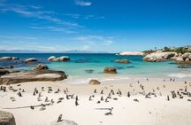 The Road Trip (Cape Point & Penguins) - Private Tour