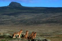 Trekking at Bale Mountains 3 Days