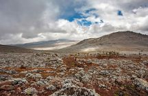 Trekking at Bale Mountains 3 Days