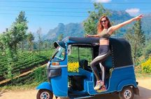 Lifetime Experience In Sri Lanka