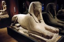 Turin: Egyptian Museum 2-hour monolingual guided experience