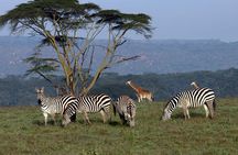 3 day Meru National Park Safari