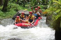 Bali: Ayung River White Water Rafting Adventure