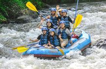 Bali: Ayung River White Water Rafting Adventure
