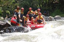 Bali: Ayung River White Water Rafting Adventure