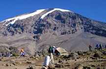Mt. Kilimanjaro Trekking; Northern Circuit Route - 9 Days