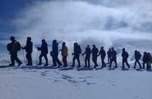 Mt. Kilimanjaro Trekking; Northern Circuit Route - 9 Days