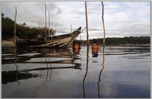 Amazon Eco Tour