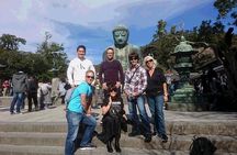 Kamakura 4hr Private Trip with Government-Licensed Guide