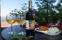 Wine Tasting in Albania – Dedicated Day Tour of Authentic Wines