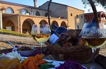 Wine Tasting in Albania – Dedicated Day Tour of Authentic Wines