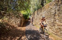 Tuscany Half day biking with oil producer, Chianti wine and food