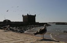 Private day trip from Marrakech to Essaouira